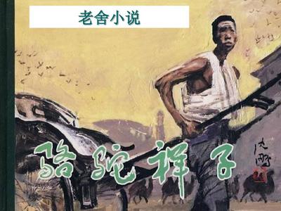 四虎音影在线观看完整版
